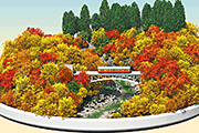 盆景-秋